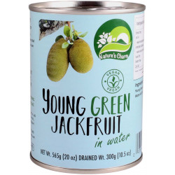 Young green Jackfruit -...